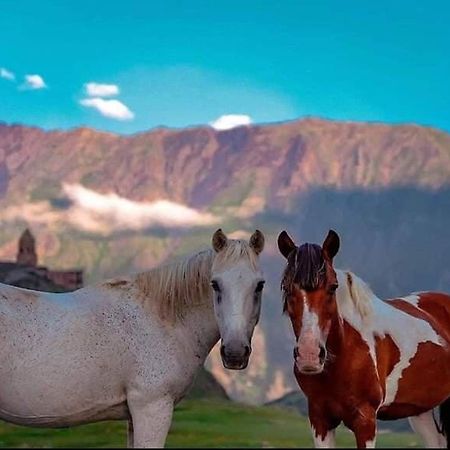 Mariami Hotel Kazbegi Luaran gambar