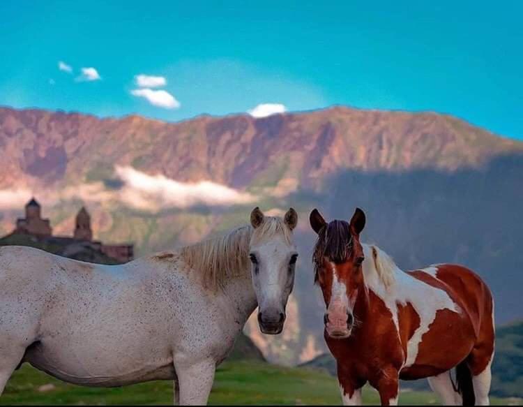 Mariami Hotel Kazbegi Luaran gambar