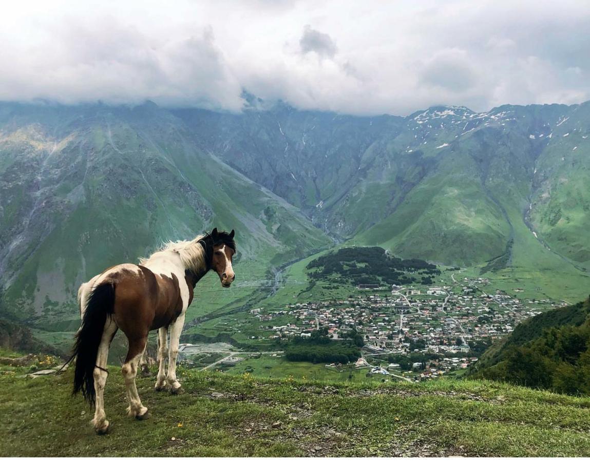 Mariami Hotel Kazbegi Luaran gambar