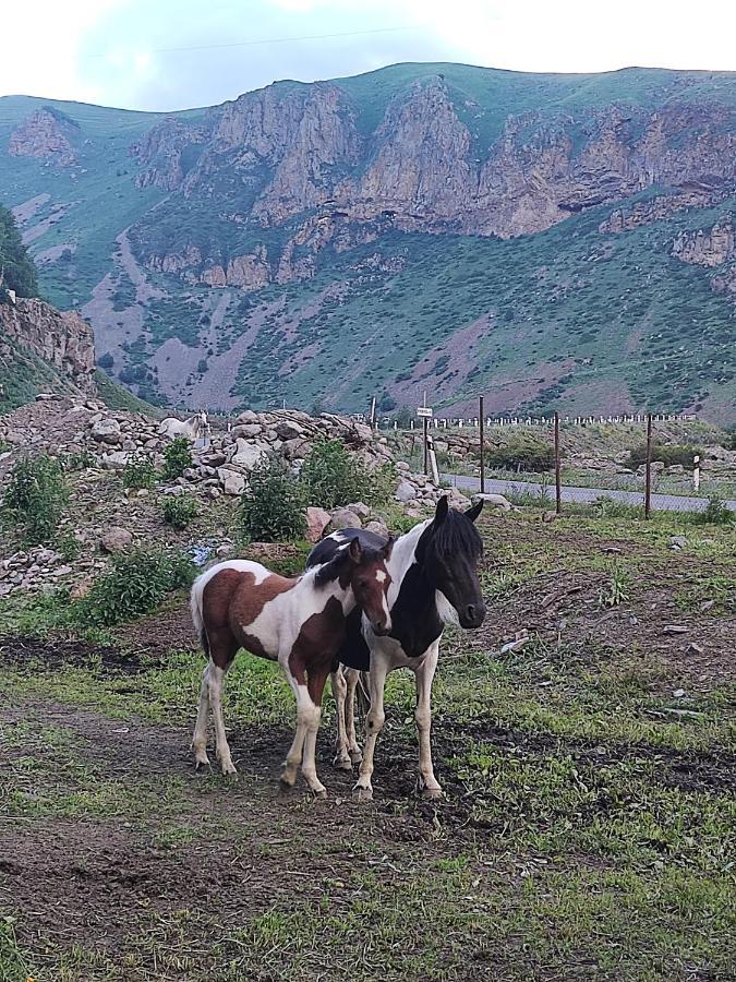 Mariami Hotel Kazbegi Luaran gambar